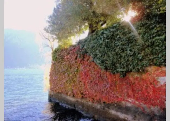 5-1 Of 11 In An Exclusive By Italian 公寓 *