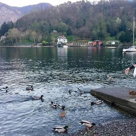 Appartement 5-1 Of 11 In An Exclusive By Italian *