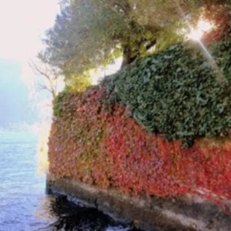 5-1 Of 11 In An Exclusive By Italian Appartement *