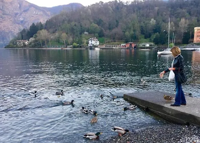 Apartamento 5-1 Of 11 In An Exclusive By Italian *